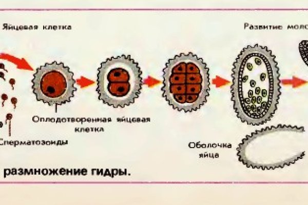 База блэкспрут с адресами